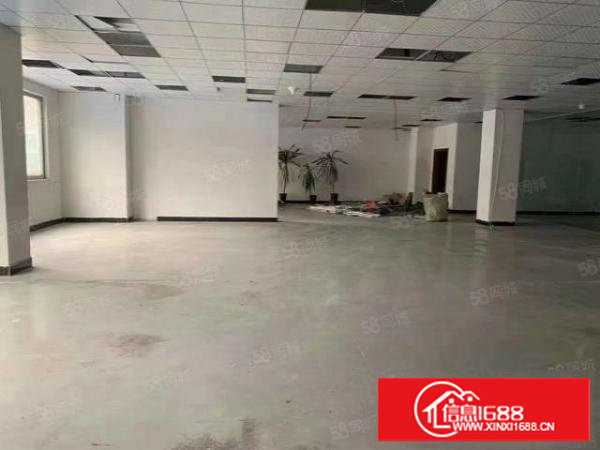 （经典独院出炉）长安镇新空出独院厂房6500平方出租