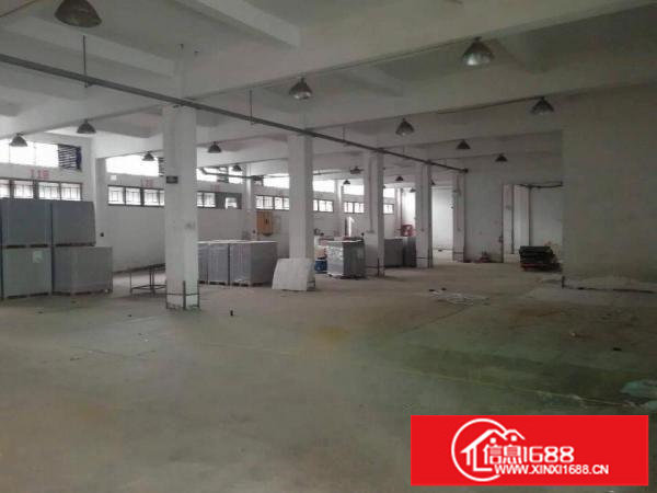 龙华新区一楼实际面积800平米