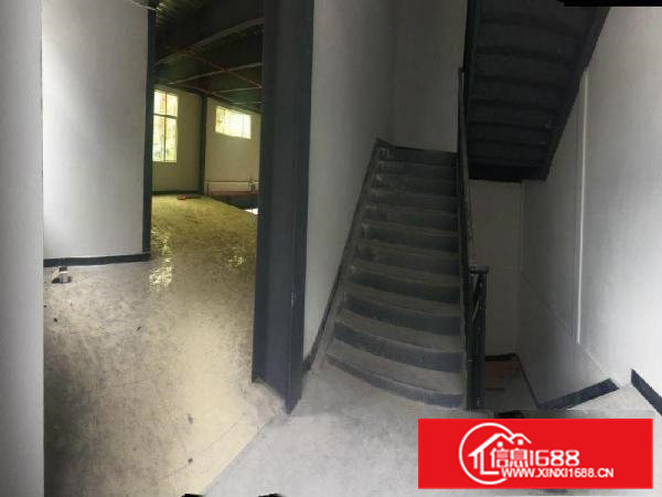 常平全新厂房出租