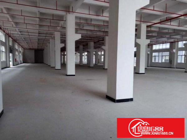 出租龙岗区平湖全新标准厂房一楼2800平大小可分租