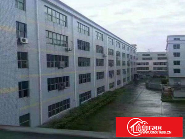 龙岗新出独门独院7500平方厂房仓库出租可分租