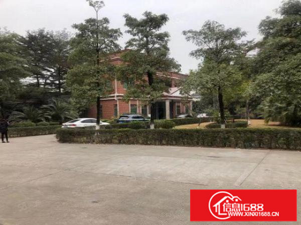 大岭山大塘厚大路边独院钢构9000平出租，可分租，还剩4栋！