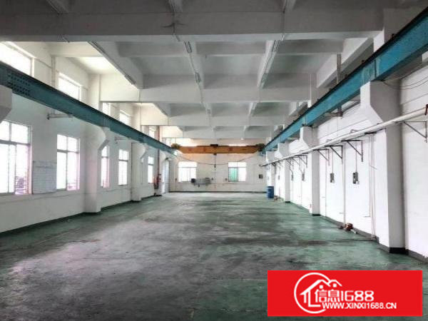 龙岗区南联实际面积出租，1楼800平方高6米，带牛角位