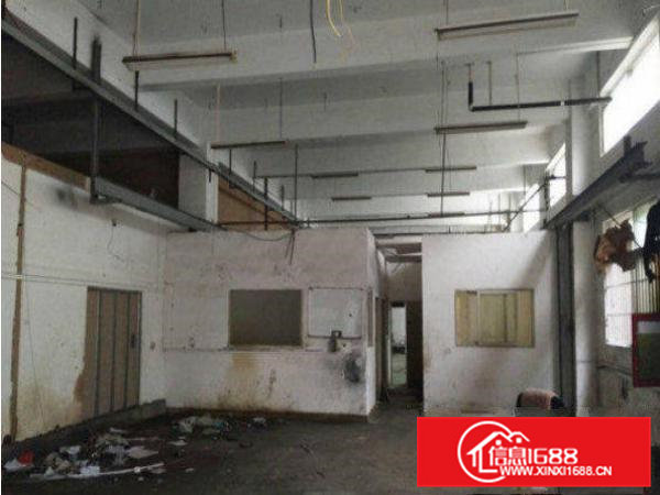 常平九江水刚空出一楼1500平米厂房出租带办公室