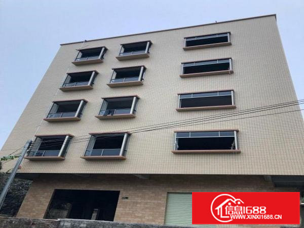 新建自建楼房整层招租