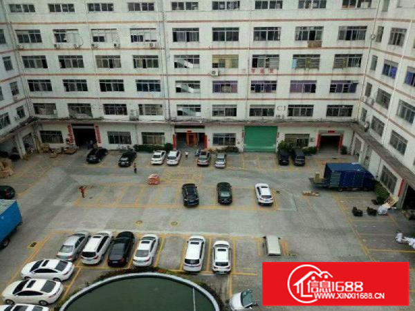 惠阳新圩10000平方独院出租