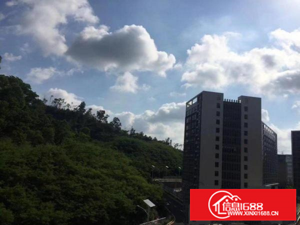 出租龙岗区坪地国际低碳城旁边标准厂房园区大环境优雅有红本