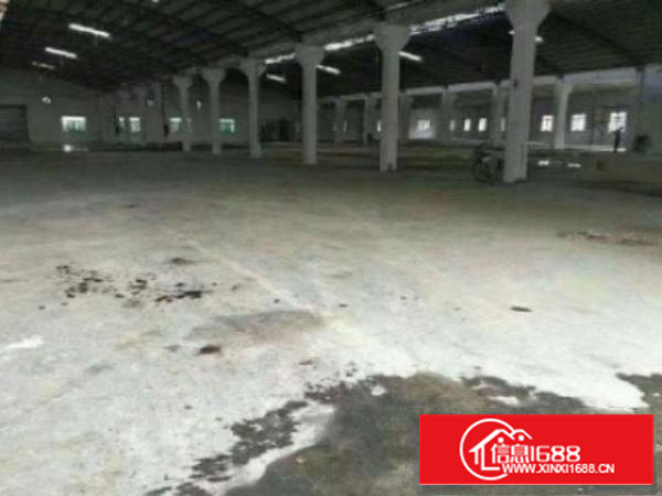 万江环城路边独院单一层厂房6000平方出租带消防喷淋中间无立