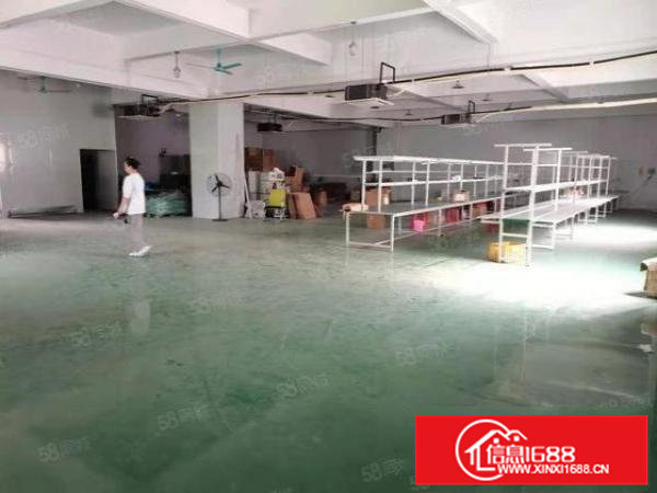 大片美空出楼上精装修850方标准厂房出租