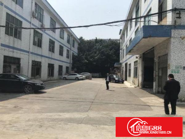 龙岗爱联原房东一楼实际面积出租整层700平方，可分租一半