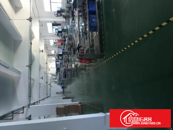 龙岗南通道新出独院厂房5000平米业主直租可分租