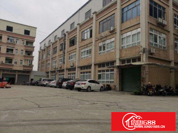 新出1000平靓房火热招租中3吨超大货梯