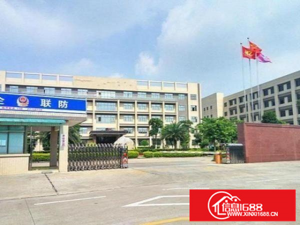 丹灶仙岗村1楼1000平厂房出租，环评能过