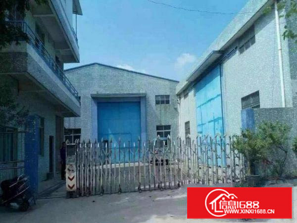 横塘可办环，独院400方标准加简易厂房，配电大带办公出租