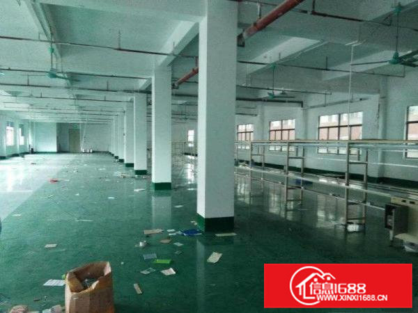 茶山新岀独院厂房分租二楼800平方带地坪漆出租