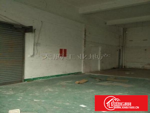 容桂红旗出租仓库500方独门独院价钱优惠