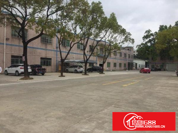 清溪镇6米高一楼1300平招租，空地超大