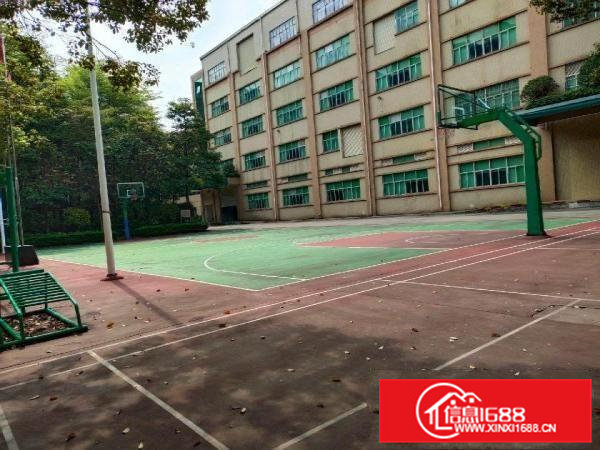 独门独院，靠华为。花园式厂房