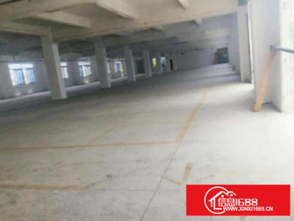 万江简沙洲环城路外标准1800或1000平方出租