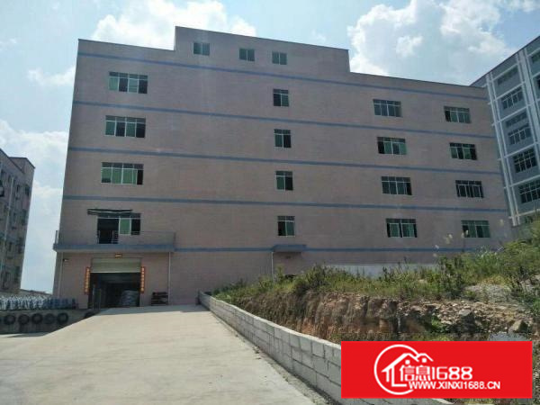 全新独院标准厂房出租，层高5米交通方便（可整可分）