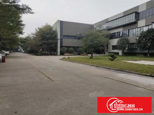 容桂扁滘标准一楼1000方厂房出租可过环形象好