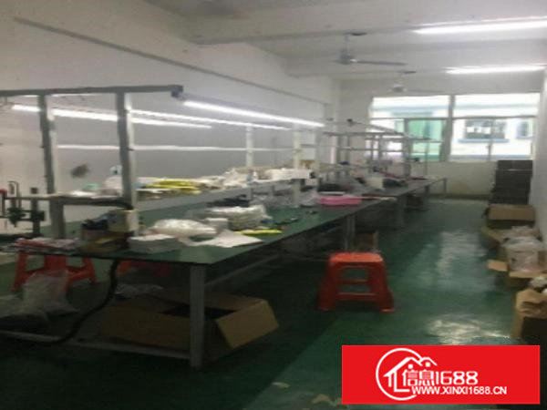 个人转租厂房带装修厂房无转让费价格便宜