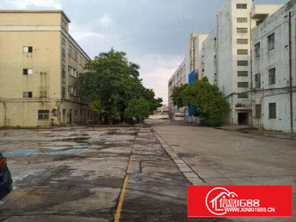 万江蚬涌独门独院，超大空地，大小可分租厂房出租