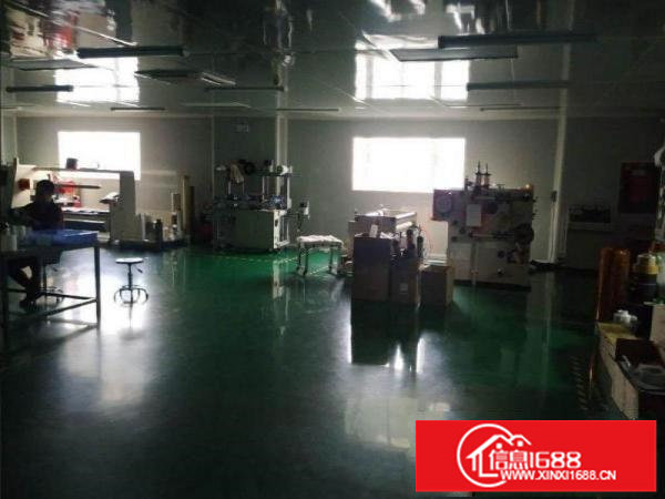 精装办公室水电齐全有消环批文交通方便