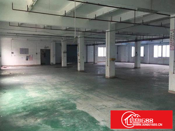 横沥成熟工业区原房东6000平方独院厂房