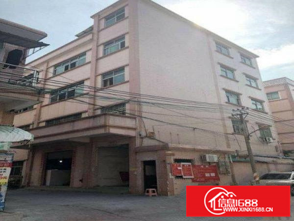 坪山新区宝山第三工业区2至4楼各500平方可分租