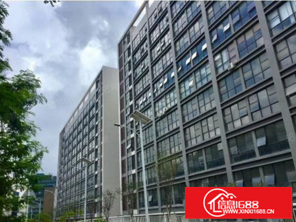 龙岗区布吉丹竹头附近新出520平带办公室厂房仓库出租