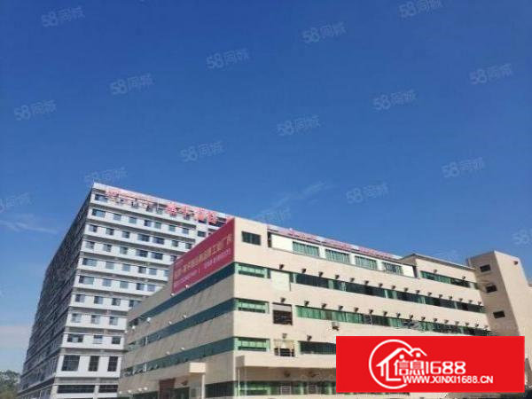 常平原房东一手物业无公摊带精装厂房配套齐全