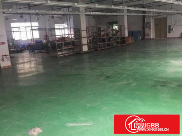 龙岗五联新出独院滴水九米1000平