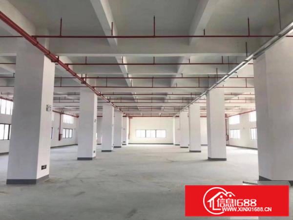 东坑镇塔岗工业区新出600平方标准厂房带装修