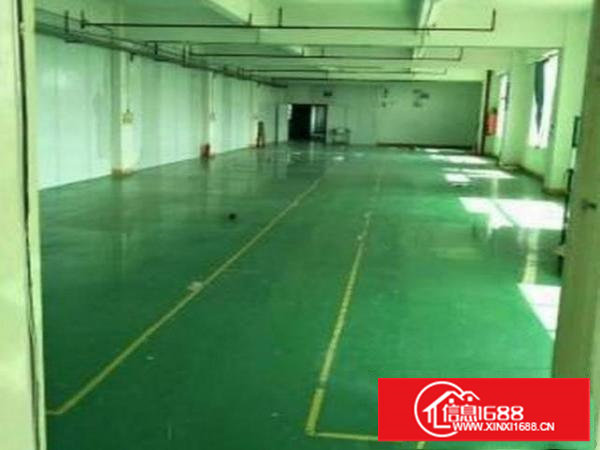 蛟乙塘近国道,标准厂房860,带豪华装修,无转让费