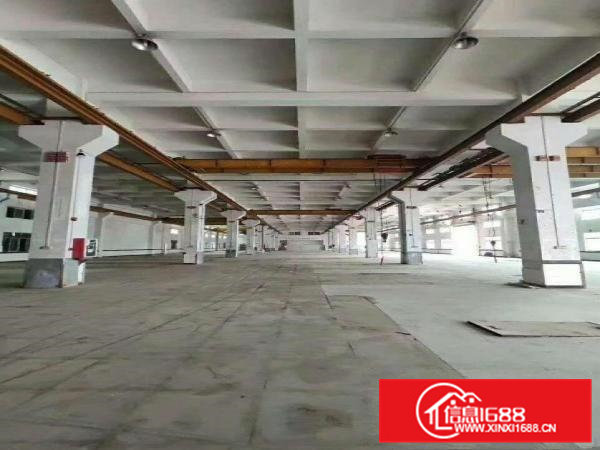 花园式独门独院标准厂房16000平方出租