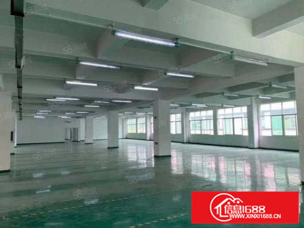 塘厦镇中心标准楼上1480平方！办公室精装修！形象靓丽