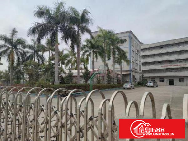 东莞桥头红本独门独院标准原房东高速路口花园式空地超大