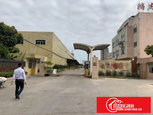 独院厂房出租61000平方,带卸货平台,高度10米,可分租