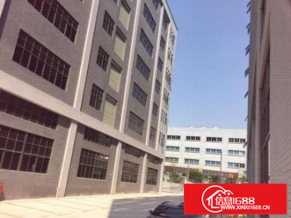 出租｜东坑镇标准厂房一楼800平方，带喷淋