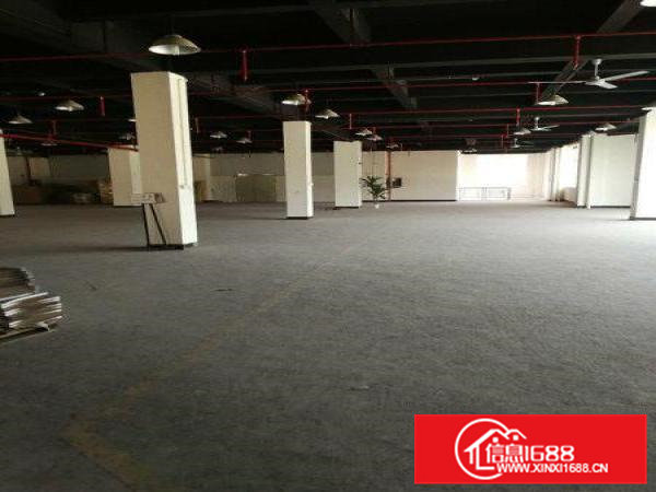 凤岗天堂围西旺工业区1500厂房火热招租