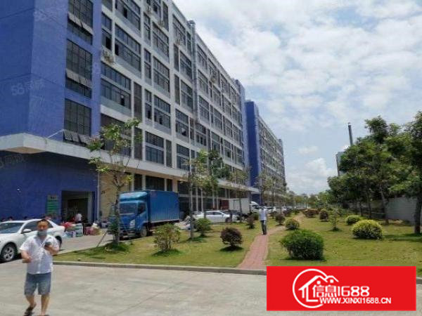 两天必租东坑650平实际面积原房东厂房精装修工业用地