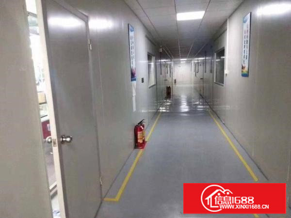 塘厦无尘车间厂房1300平方，现成装修，主线到位