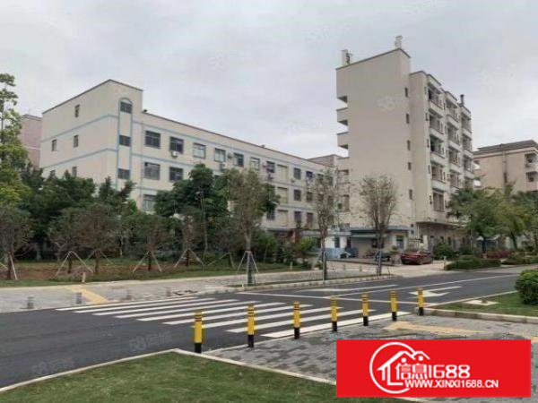 龙岗中心城标准厂房锦龙二路和南同大道交汇处红本厂房出租