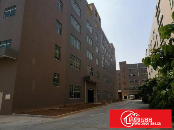 三和新出全新标准厂房15层43000平方出租