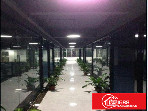 坂田1985园中园苏式园林办公室100平起业主直租