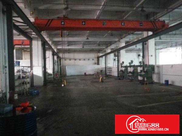 秋长维布原房东6000平厂房出租，白菜价13元