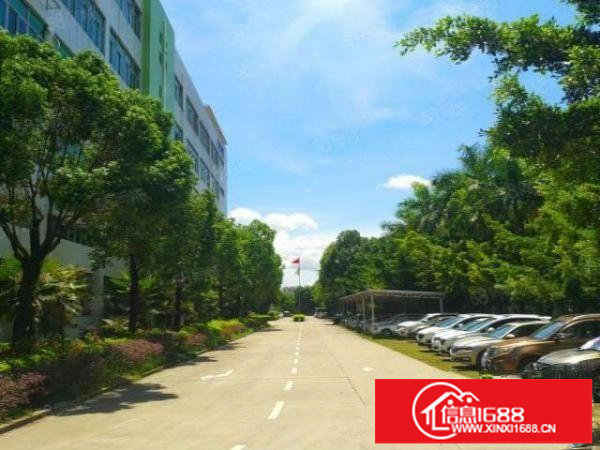 坪山花园大工业园20000平方厂房火热招商300起可分租合租