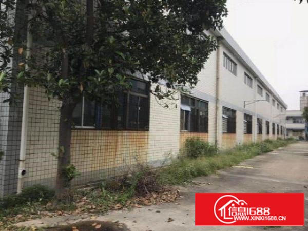 石碣镇新出标准厂房一楼出租600平方，报价15元，易招工