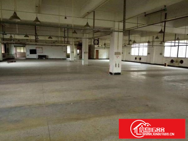 靓盘东部快线旁带红本独门独院标准厂房8000出租